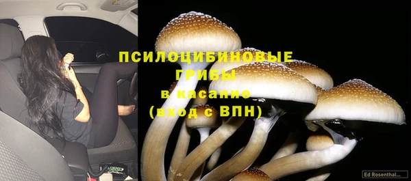 кокс Алзамай