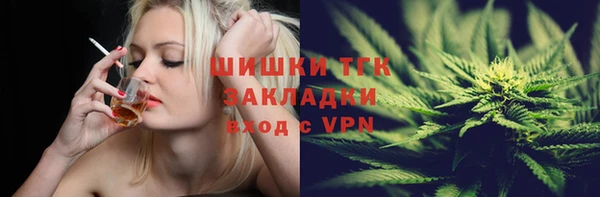 крисы Алексин