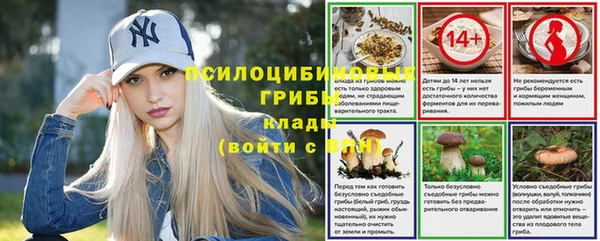 кокс Алзамай