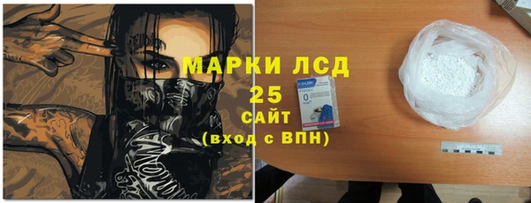 крисы Алексин